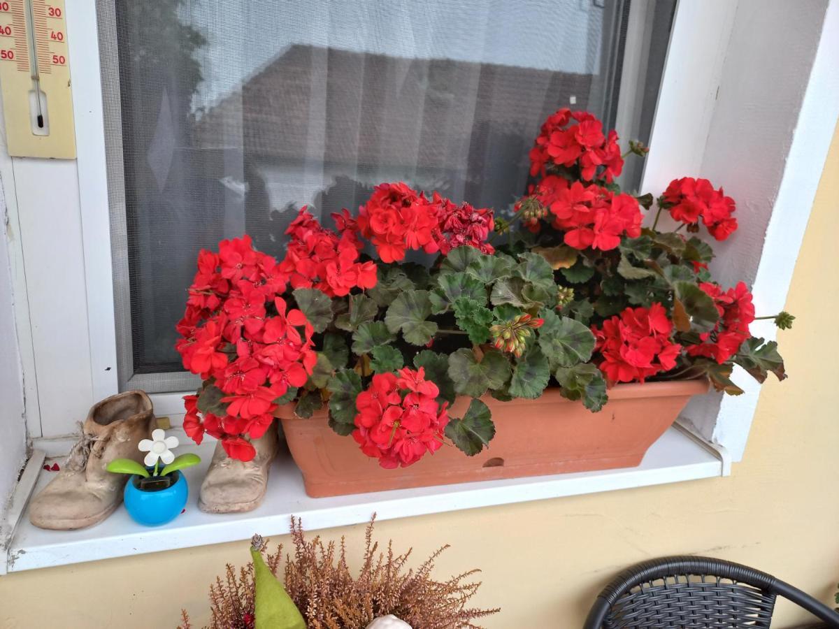 Oazis Apartman Sárospatak Dış mekan fotoğraf